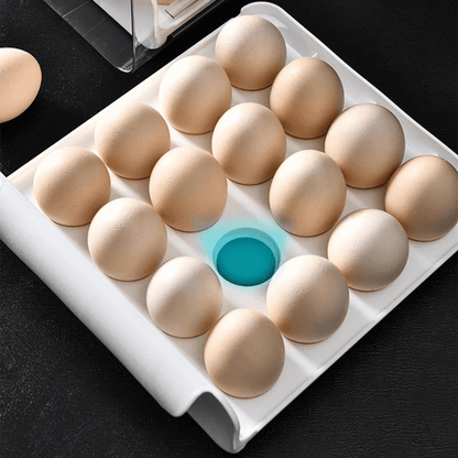 Egg Box Koken, Cutie Depozitare oua, Suport organizator oua pentru frigider, cu 2 niveluri, Plastic, Transparent - köken